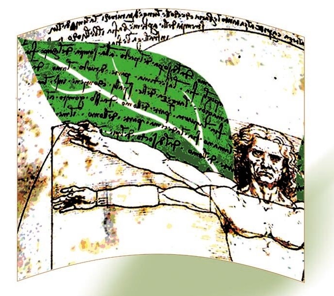 Engaged Humanities: How to Build Participatory Historical Culture?