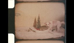 Center's Work Schedule During the Winter Holidays