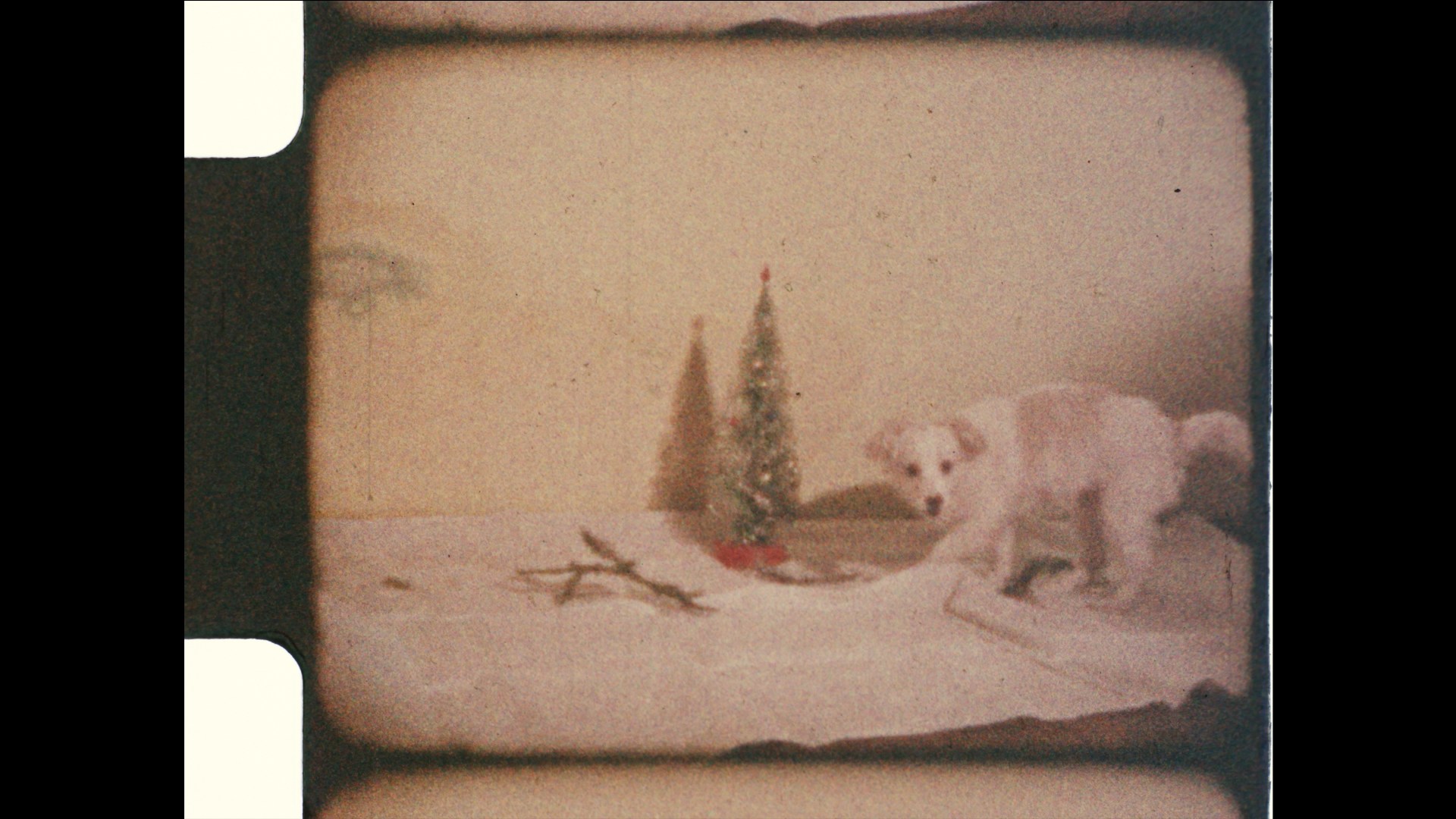 Center's Work Schedule During the Winter Holidays