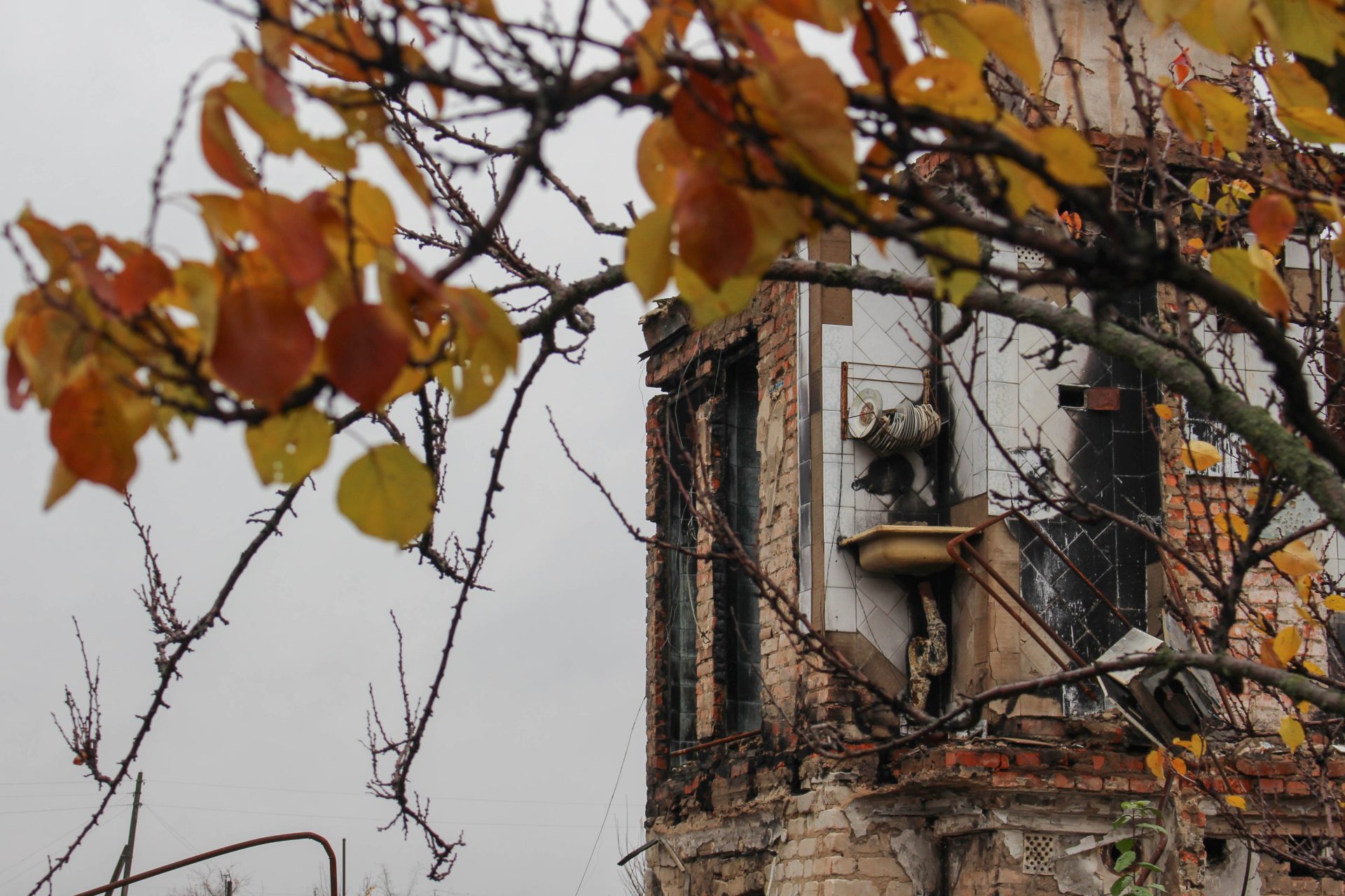 Those Who Remained: Testimonies of Kharkiv Region Residents