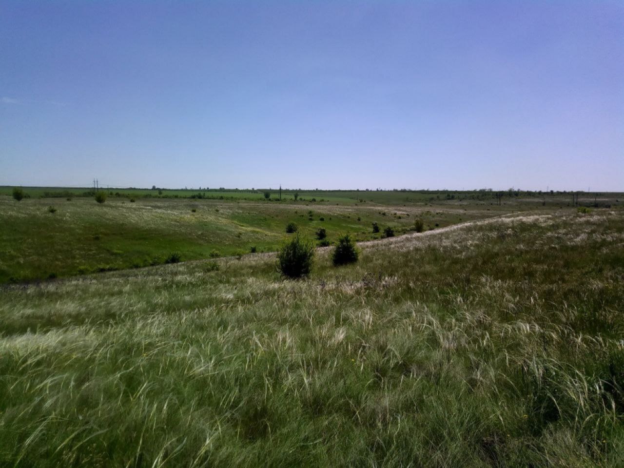 Preserving the Scientific Achievements of Reserves and National Parks Affected by the War