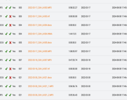 Archiving Oral Histories of the Present: Description and Processing
