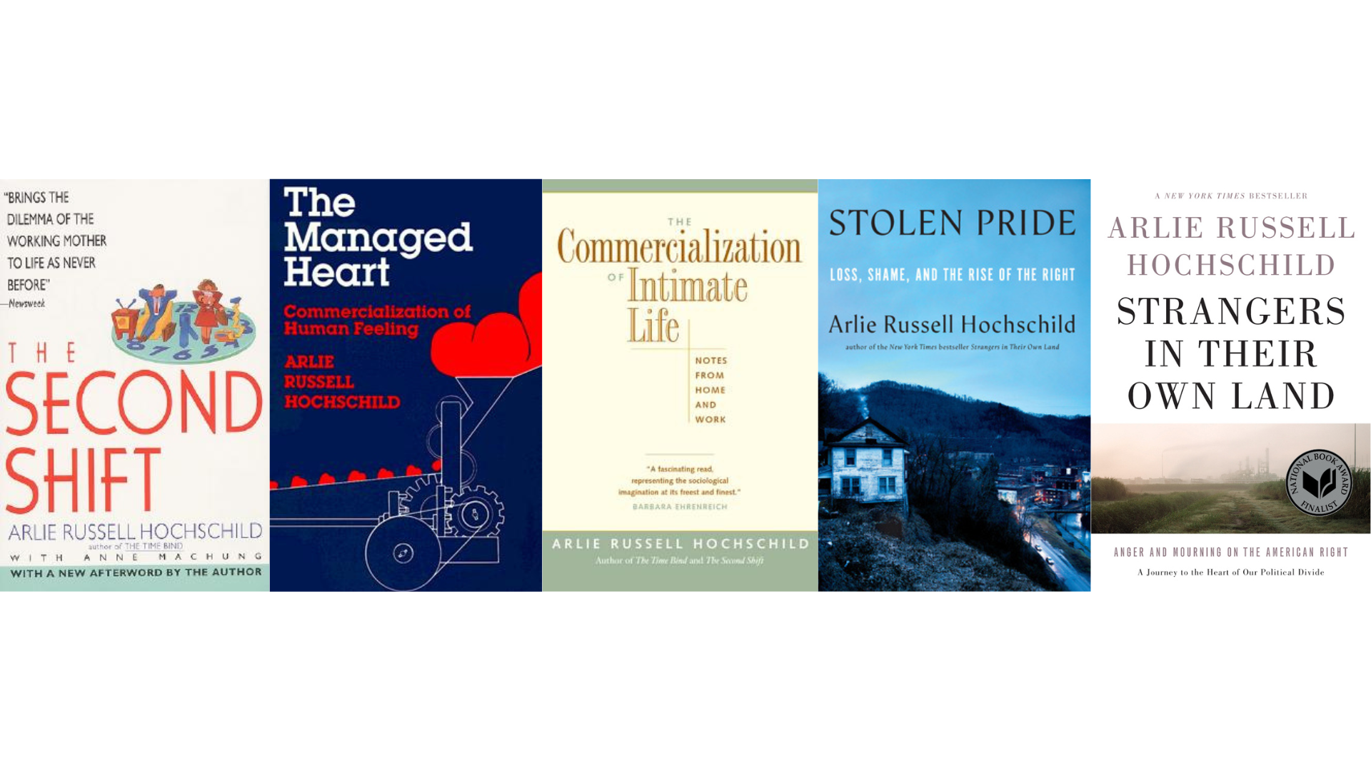 The Emotions Lens and How We Study Societies