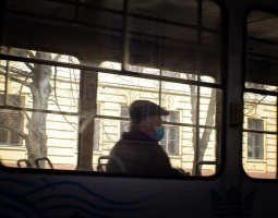 Ethics of Rapid Response in Research and Documentation: From Pandemic to Invasion